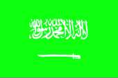 your are looking at SWPP and BPPA members in Saudi Arabia